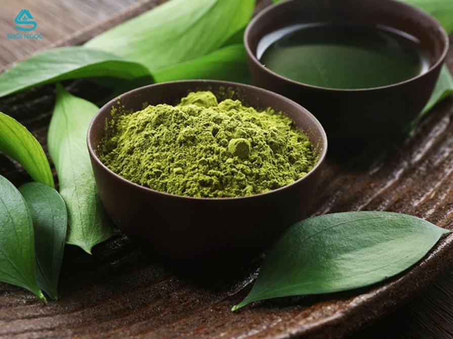Vì sao bột matcha thu hút cả người trẻ và người yêu trà truyền thống?