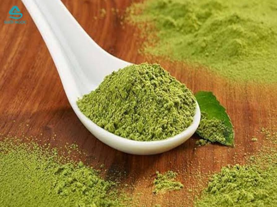 Bột matcha - Từ thức uống truyền thống đến xu hướng toàn cầu