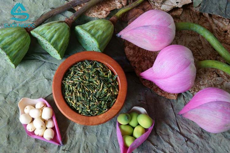 Tác dụng của tâm sen và cách uống trà tâm sen tốt cho sức khỏe