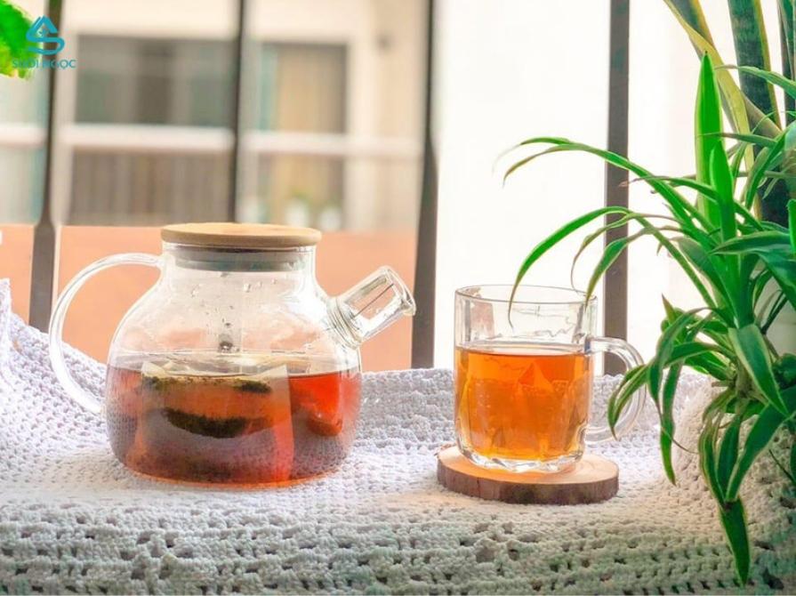 Cà gai leo túi lọc là gì?