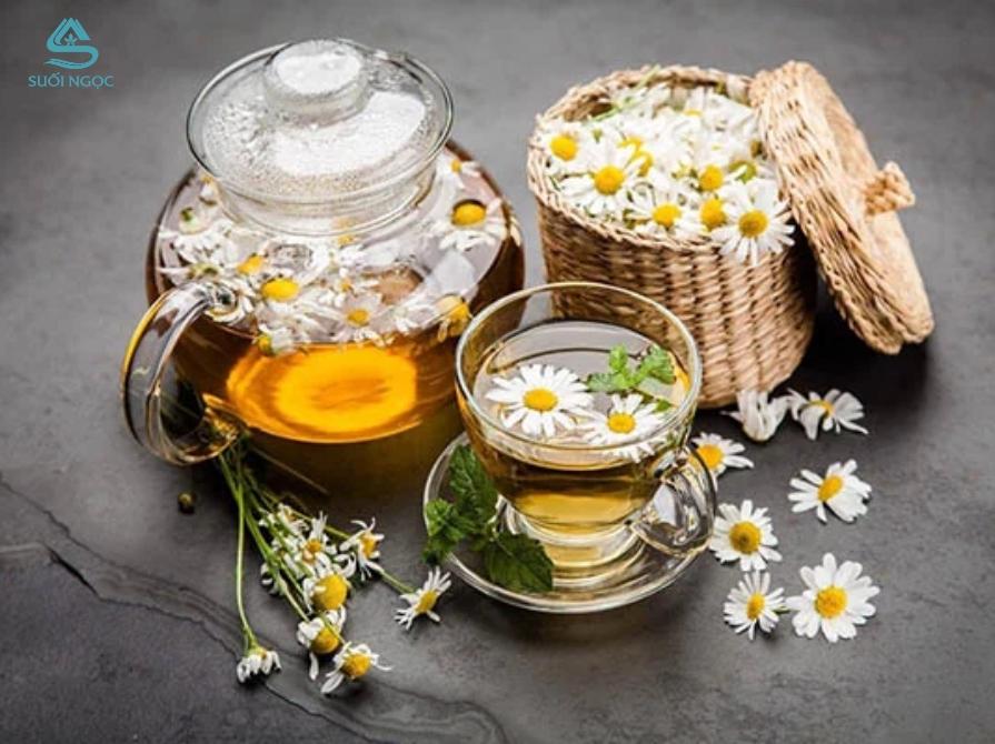Uống trà cúc mỗi ngày có tốt không?