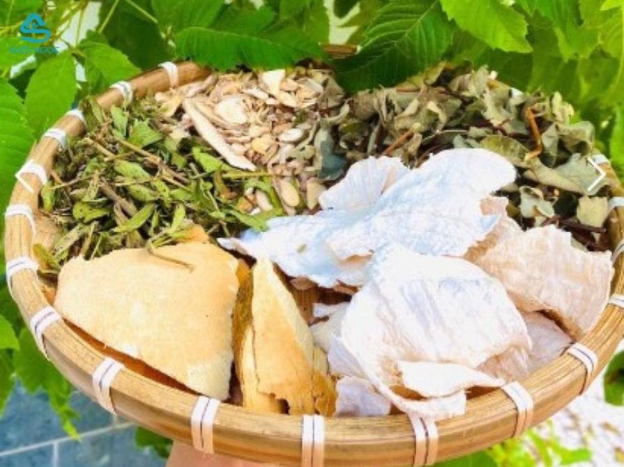 Trà sâm tố nữ có thực sự tốt cho phụ nữ không?