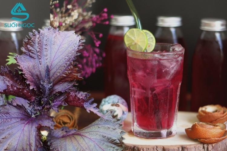 Trà tía tô - thức uống thanh mát, tốt cho sức khoẻ và sắc đẹp