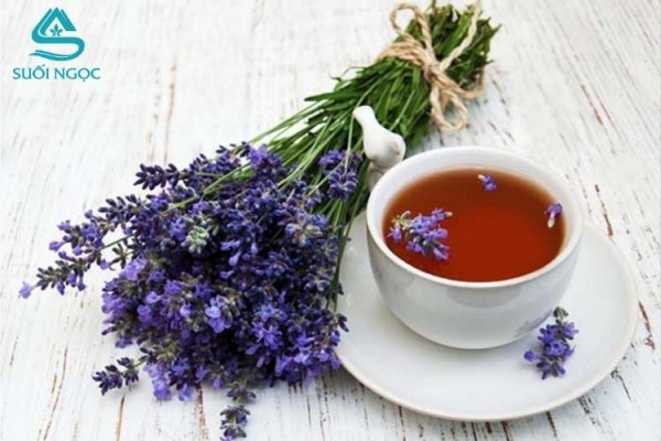 Trà hoa oải hương - Bí quyết thư giãn và ngủ ngon từ thiên nhiên