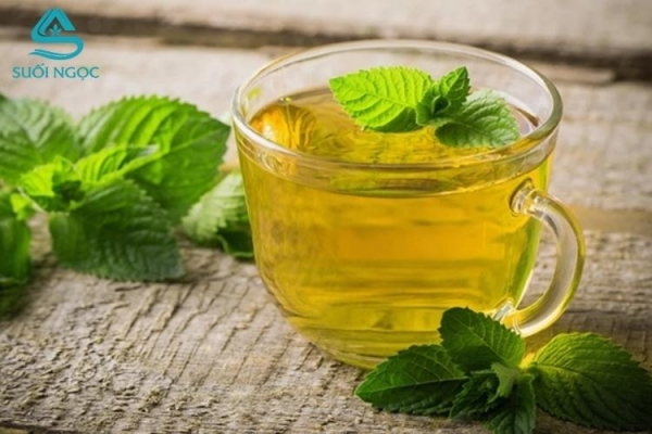 Trà bạc hà - Công dụng, cách pha và lợi ích tuyệt vời cho sức khỏe