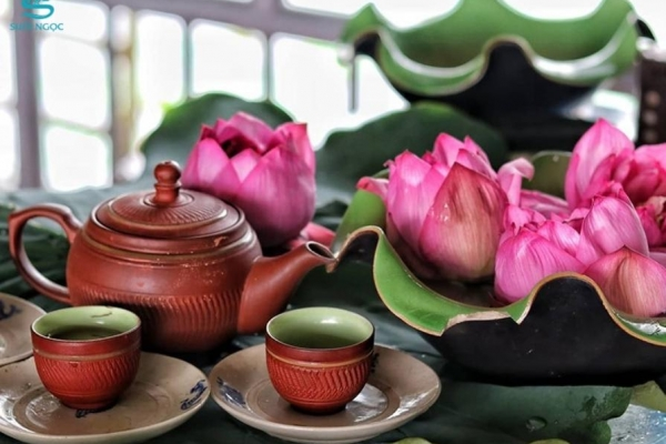Uống trà sen có tốt không? Công dụng, cách uống và những lưu ý cần biết